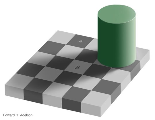 CorteX illusion Adelson