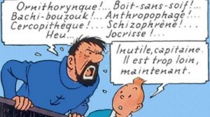 « Sale bête », « sale nègre », « sale gonzesse »  -  Identités, dominations et système des insultes, par Yves Bonnardel