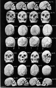 Rapport ostéopathie crânienne - réponses aux réactions